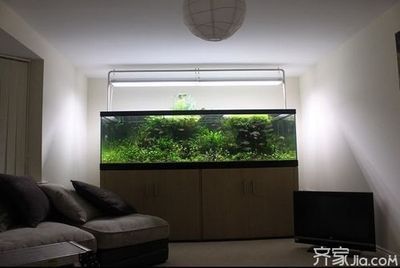 房屋裝修魚缸(家里放魚缸如何裝修-土巴兔裝修問答) 觀賞魚百科 第5張 房屋裝修魚缸(家里放魚缸如何裝修-土巴兔裝修問答) 房屋裝修魚缸(家里放魚缸如何裝修-土巴兔裝修問答) 觀賞魚百科 第5張