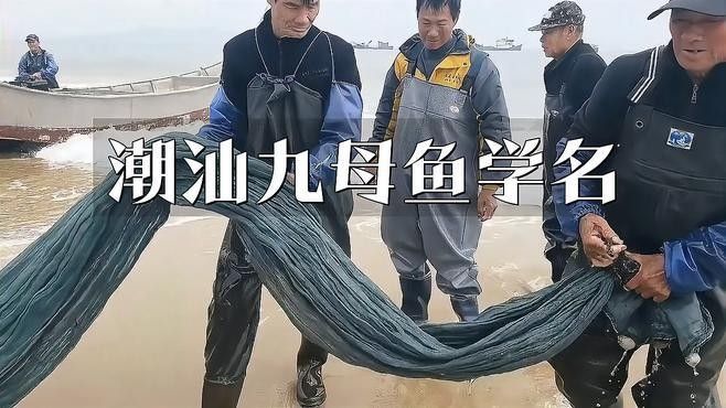潮汕地區(qū)還有哪些淡水魚？（潮汕地區(qū)的淡水魚種類繁多，）
