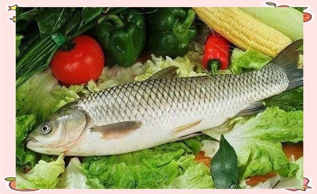 潮汕地區(qū)還有哪些淡水魚？（潮汕地區(qū)的淡水魚種類繁多，）