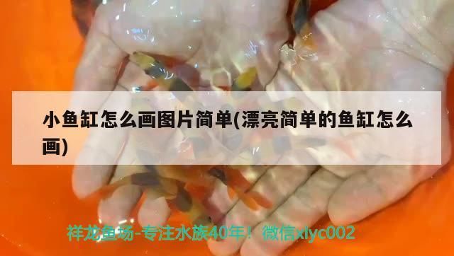 小魚缸怎么畫圖片簡單(漂亮簡單的魚缸怎么畫)（小魚缸怎么畫圖片簡單和漂亮簡單的魚缸怎么畫）
