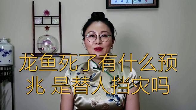 如何判斷龍魚傷情是否嚴重（如何判斷龍魚傷情嚴重）
