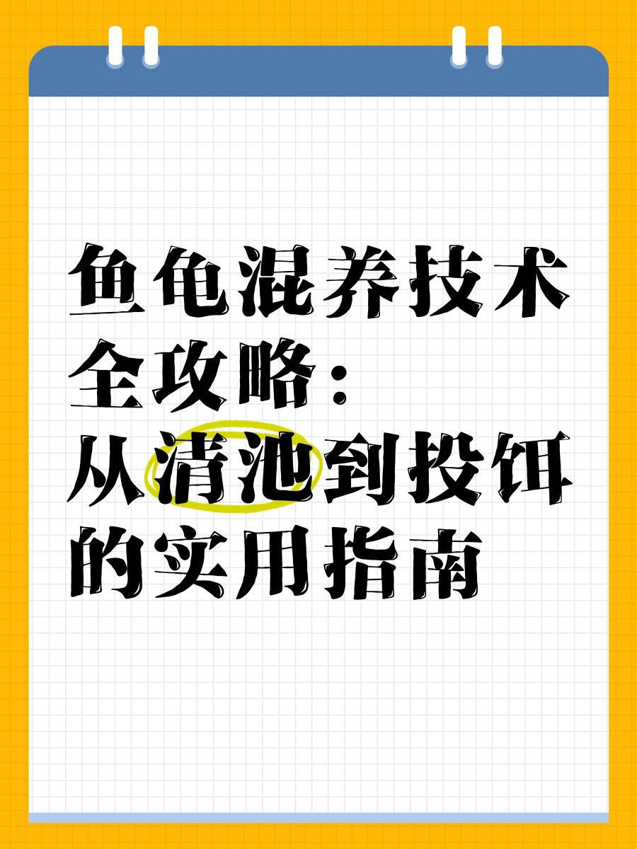 混養(yǎng)時(shí)應(yīng)該如何投喂（養(yǎng)時(shí)投喂關(guān)鍵是確保每種動(dòng)物都能獲得均衡的營(yíng)養(yǎng)）