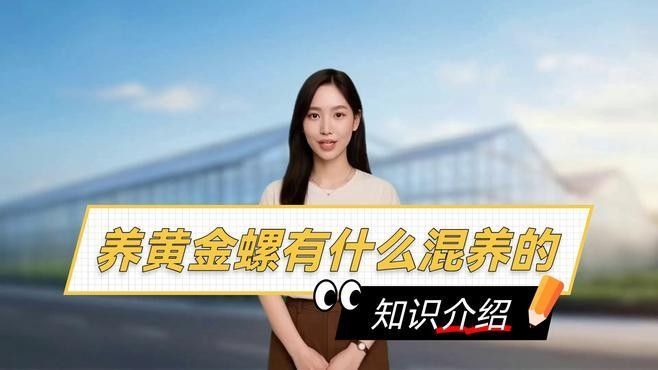 如何控制混養(yǎng)螺類的數(shù)量（養(yǎng)田螺能賺多少錢真實收益揭秘一畝地不可能年入6萬） 如何控制混養(yǎng)螺類的數(shù)量（養(yǎng)田螺能賺多少錢真實收益揭秘一畝地不可能年入6萬） 龍魚百科 第2張