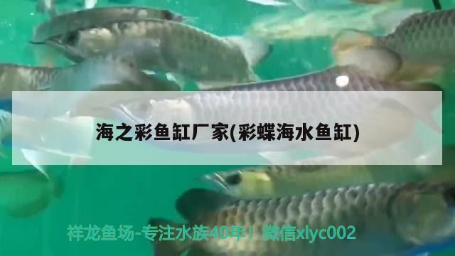 龍魚身體彎曲是什么原因，龍魚為什么彎著身子 龍魚身體彎曲是什么原因，龍魚為什么彎著身子 觀賞魚百科 第2張
