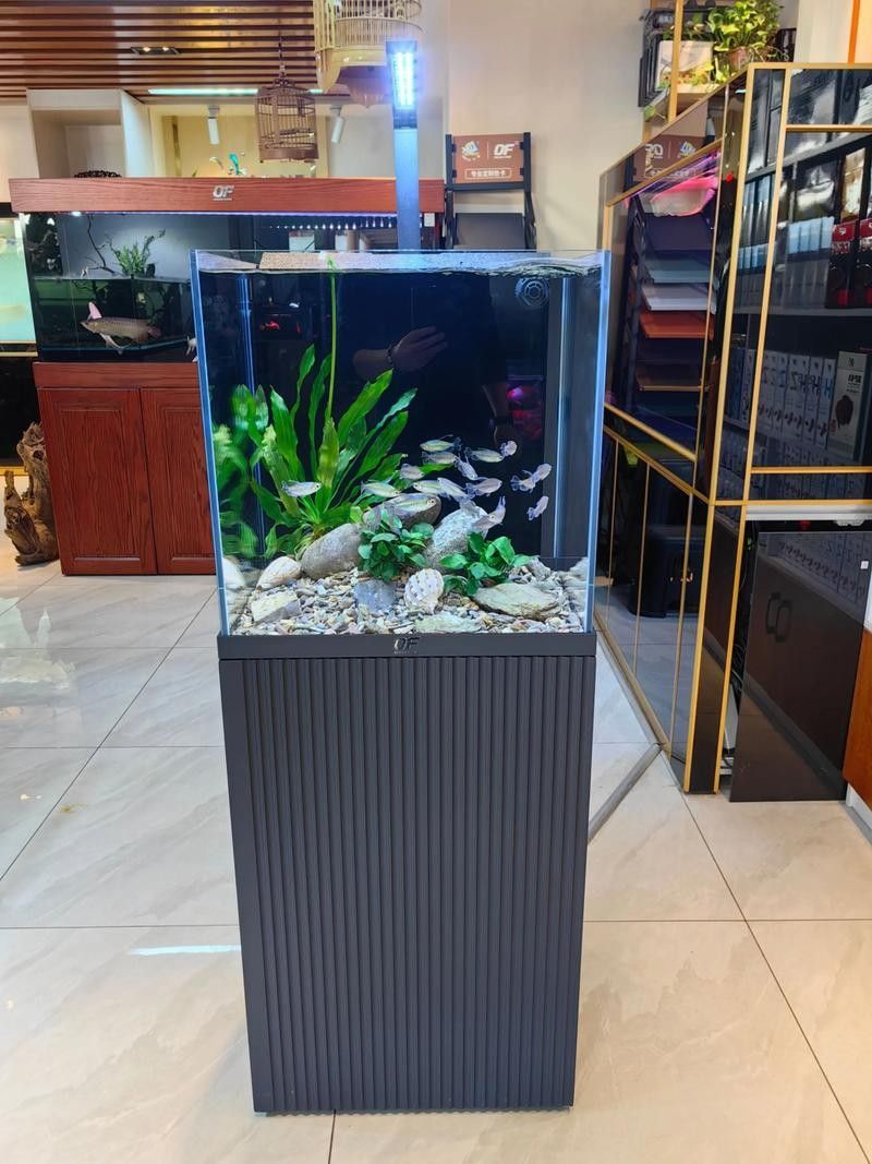 推薦幾款耐用的成品缸品牌(成品缸品牌推薦) 龍魚百科 第1張 推薦幾款耐用的成品缸品牌(成品缸品牌推薦) 推薦幾款耐用的成品缸品牌(成品缸品牌推薦) 龍魚百科 第1張