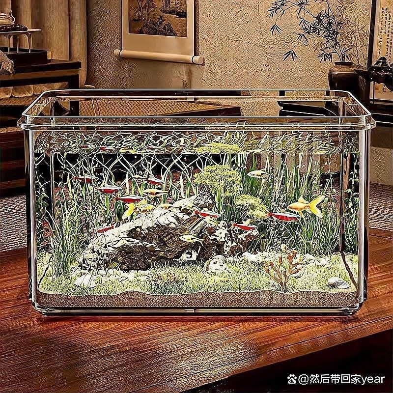 推薦幾款耐用的成品缸品牌（成品缸品牌推薦） 推薦幾款耐用的成品缸品牌（成品缸品牌推薦） 龍魚百科 第7張