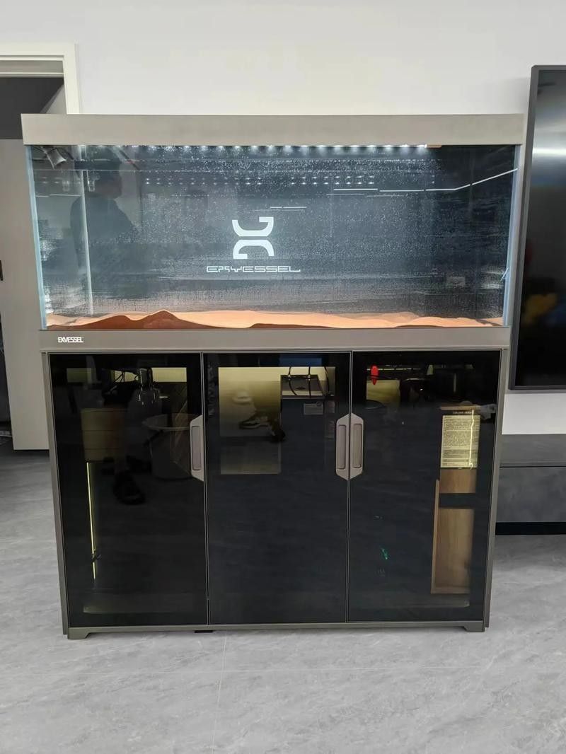 推薦幾款耐用的成品缸品牌(成品缸品牌推薦) 龍魚百科 第2張 推薦幾款耐用的成品缸品牌(成品缸品牌推薦) 推薦幾款耐用的成品缸品牌(成品缸品牌推薦) 龍魚百科 第2張