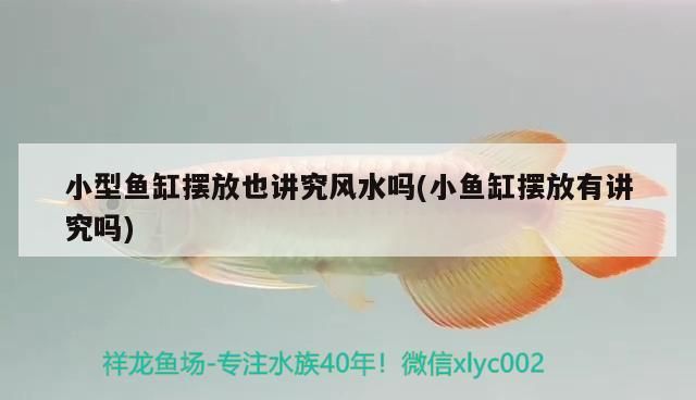 小型魚缸擺放也講究風水嗎(小魚缸擺放有講究嗎)（小型魚缸擺放也講究風水嗎） 小型魚缸擺放也講究風水嗎(小魚缸擺放有講究嗎)（小型魚缸擺放也講究風水嗎） 觀賞魚百科