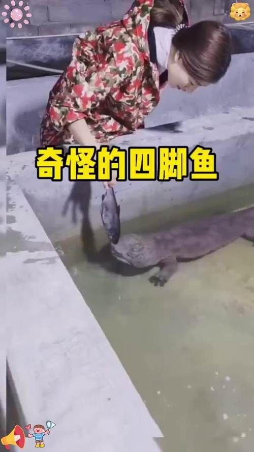 給我一些高清的四腳龍魚圖片 龍魚百科 第36張 給我一些高清的四腳龍魚圖片 給我一些高清的四腳龍魚圖片 龍魚百科 第36張