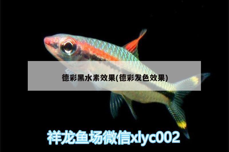 德彩黑水素效果(德彩發色效果)（德彩黑水素使用方法）