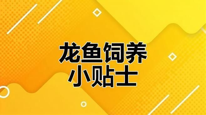 龍魚缸濾材如何消毒（倫貝爾大草原龍魚缸濾材如何清洗和消毒浮生如夢）