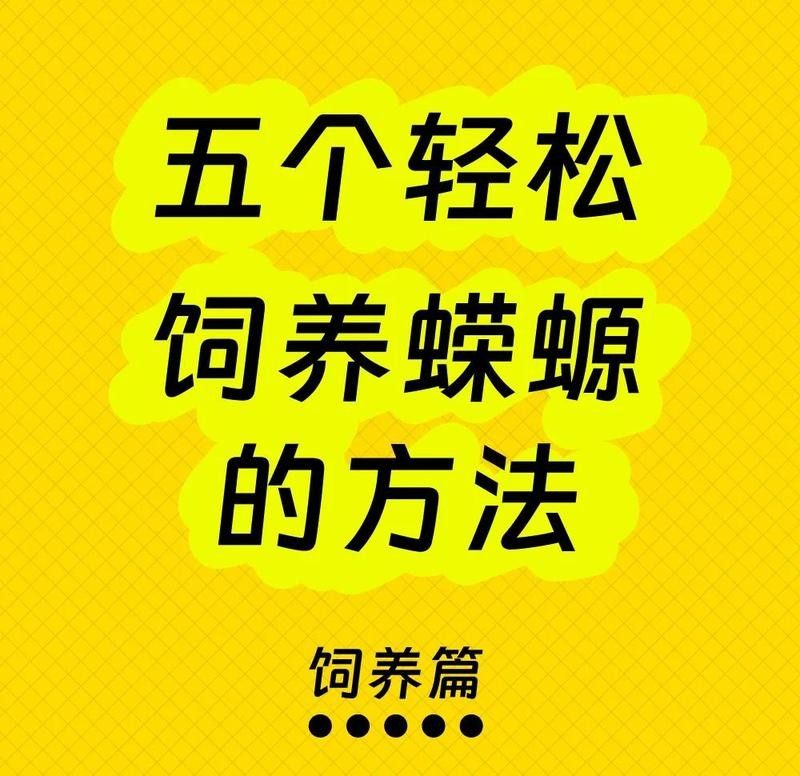 火龍蠑螈的最佳飼養溫度是多少（小火龍蠑螈怎么養佩特汪小火龍蠑螈怎么養）
