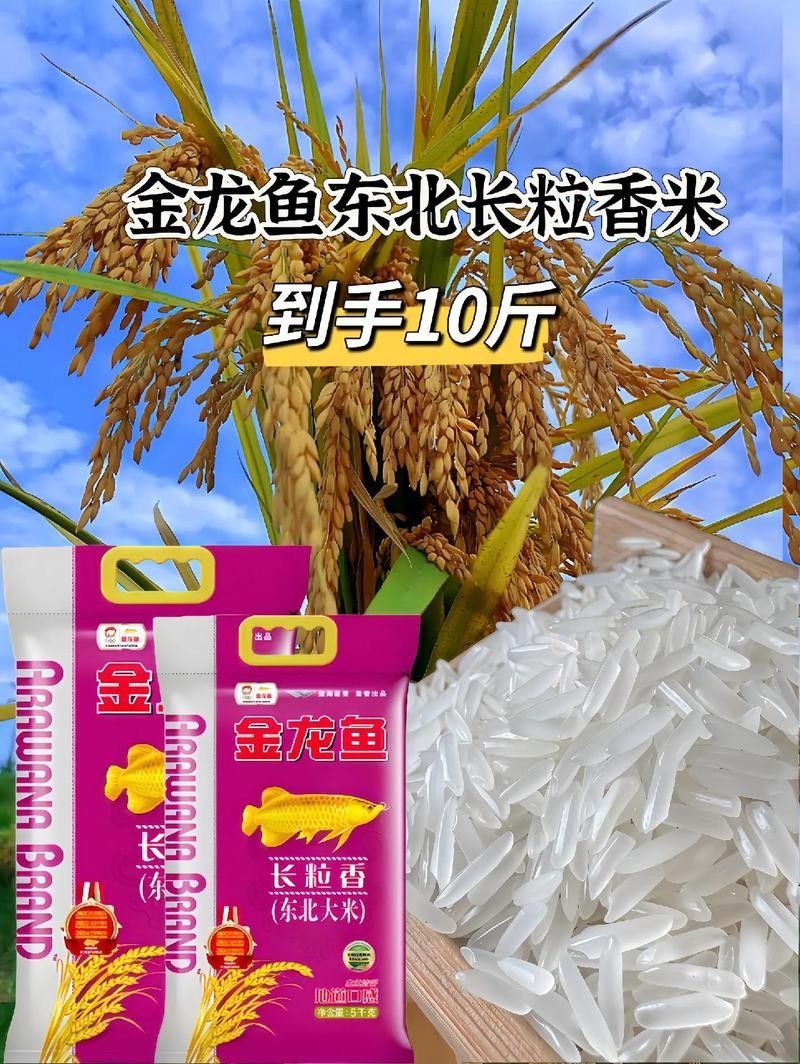 金龍魚京東自營旗艦店有哪些熱銷商品（金龍魚京東自營旗艦店熱銷商品）