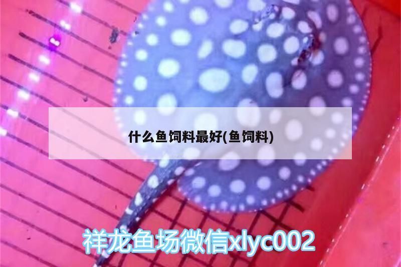 什么魚(yú)飼料最好(魚(yú)飼料)（金龍魚(yú)喂什么飼料最好）