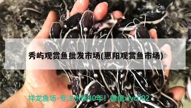 秀嶼觀賞魚批發市場(惠陽觀賞魚市場)（惠陽秀嶼觀賞魚批發市場） 秀嶼觀賞魚批發市場(惠陽觀賞魚市場)（惠陽秀嶼觀賞魚批發市場） 觀賞魚百科