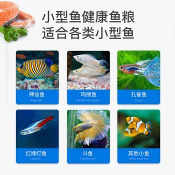 意牌飼料價格對比，意牌飼料在不同地區(qū)的價格
