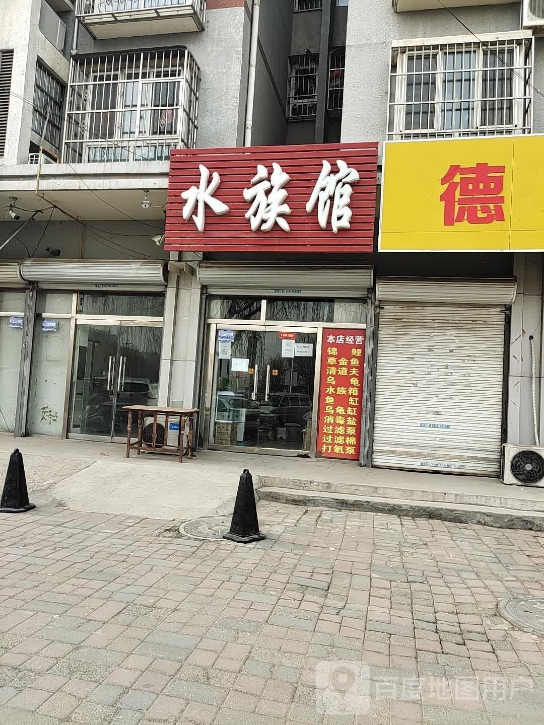 徐水哪個水族館龍魚好？祥龍魚場龍魚（河北保定水祥龍魚場） 徐水哪個水族館龍魚好？祥龍魚場龍魚（河北保定水祥龍魚場） 龍魚百科 第3張