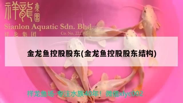 金龍魚控股股東(金龍魚控股股東結構)（金龍魚控股股東結構）