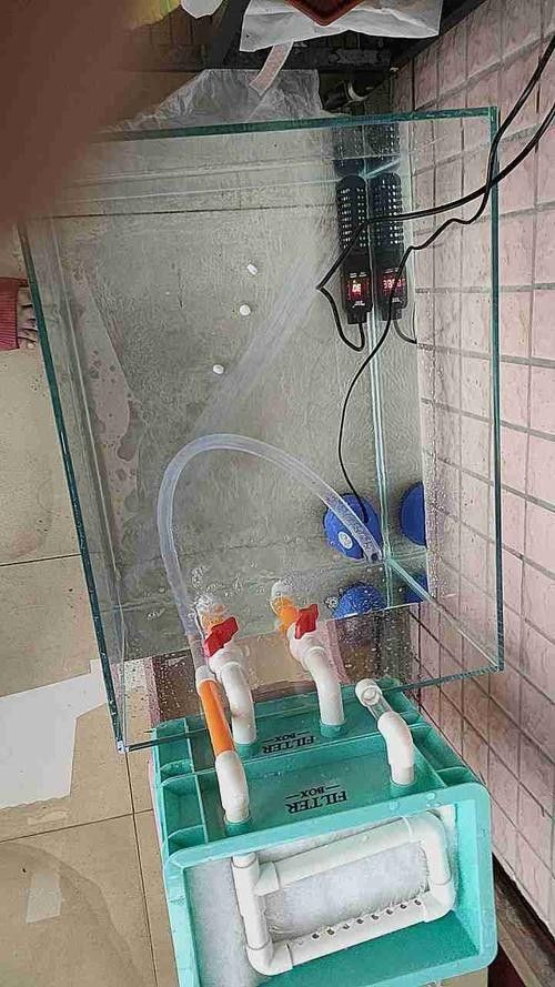 海南龍魚加熱棒需要多少瓦（如何挑選適合大型龍魚缸的加熱棒） 海南龍魚加熱棒需要多少瓦（如何挑選適合大型龍魚缸的加熱棒） 龍魚百科 第6張
