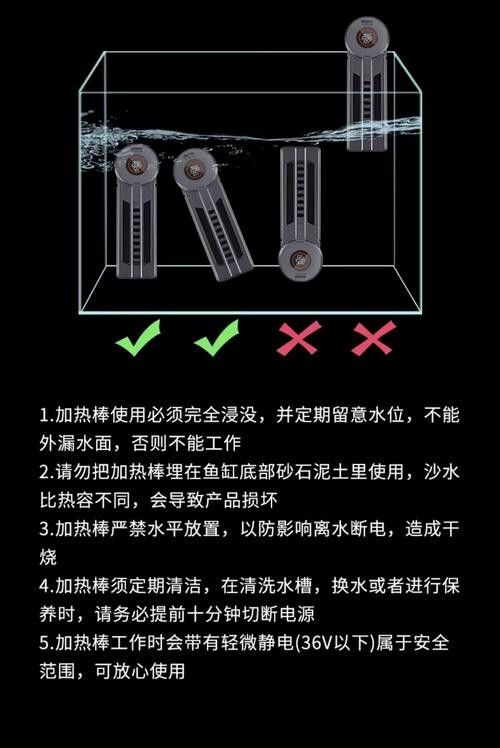 海南龍魚加熱棒需要多少瓦（如何挑選適合大型龍魚缸的加熱棒） 海南龍魚加熱棒需要多少瓦（如何挑選適合大型龍魚缸的加熱棒） 龍魚百科 第8張