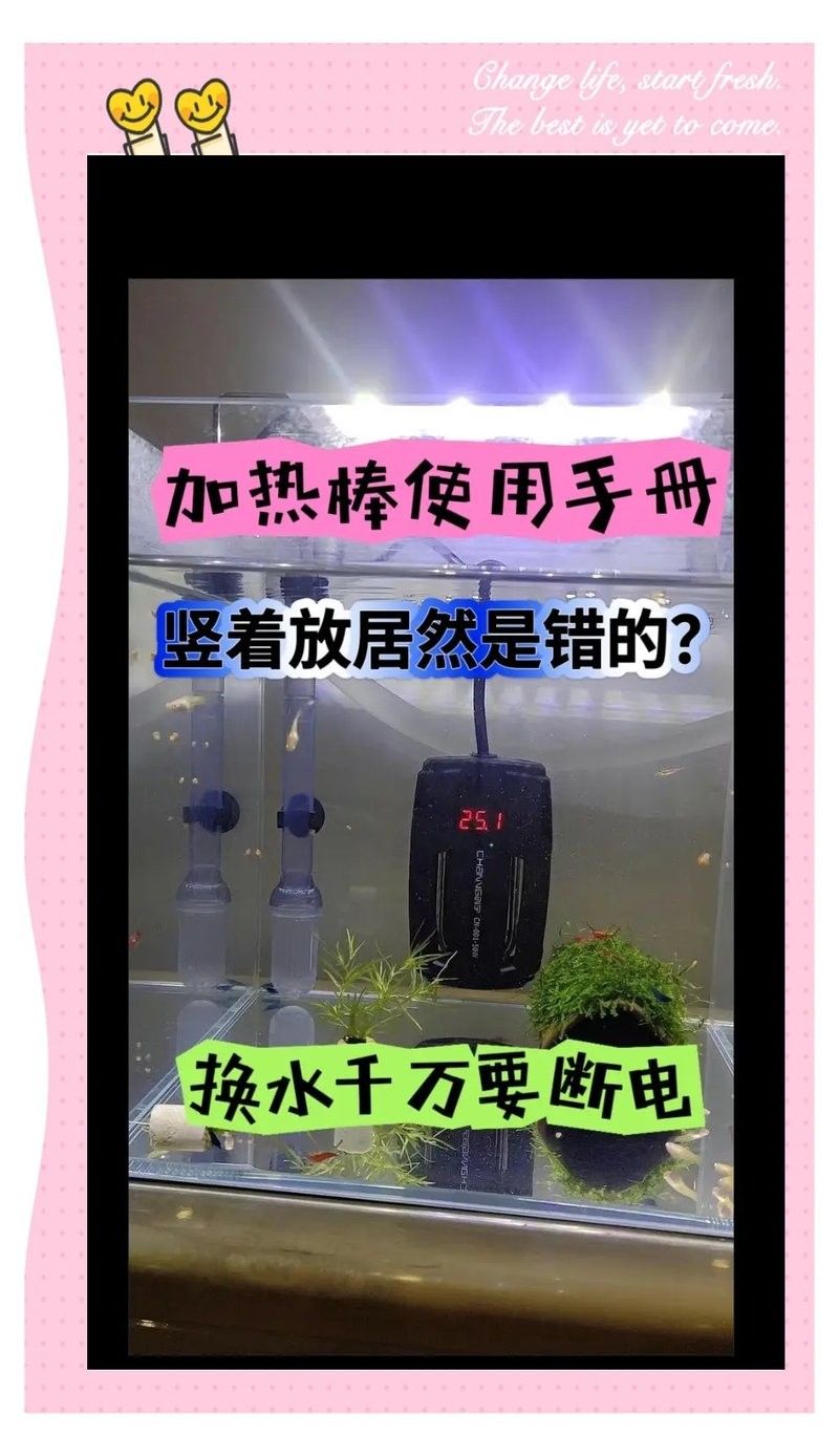 海南龍魚加熱棒需要多少瓦（如何挑選適合大型龍魚缸的加熱棒） 海南龍魚加熱棒需要多少瓦（如何挑選適合大型龍魚缸的加熱棒） 龍魚百科 第13張