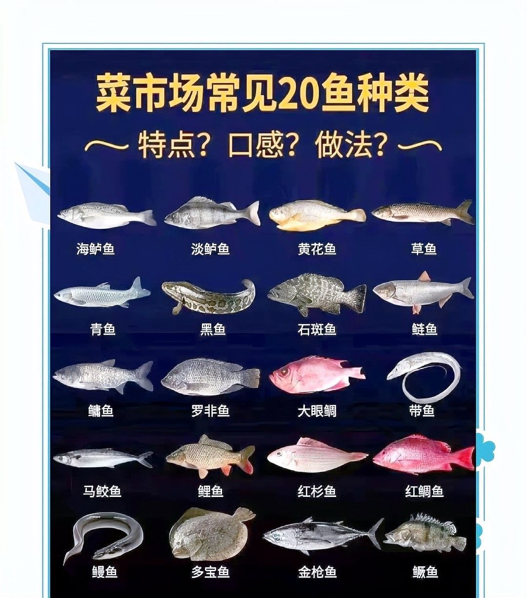 如何預防白子招財龍的白點病（白子招財龍得了白點病怎么辦）