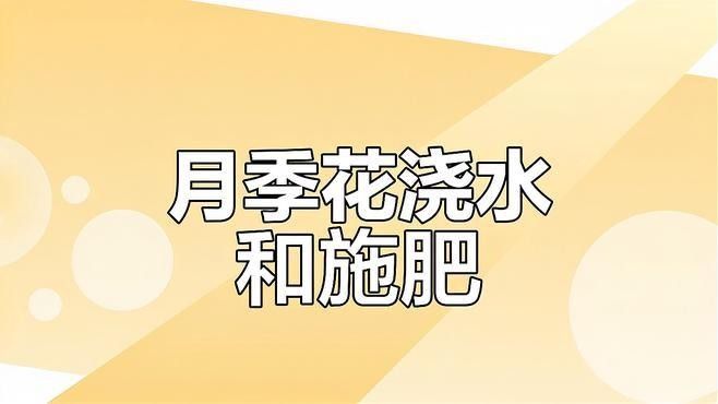 紅龍?jiān)录臼覂?nèi)養(yǎng)殖如何施肥？（紅龍?jiān)录臼┓实?大誤區(qū)）