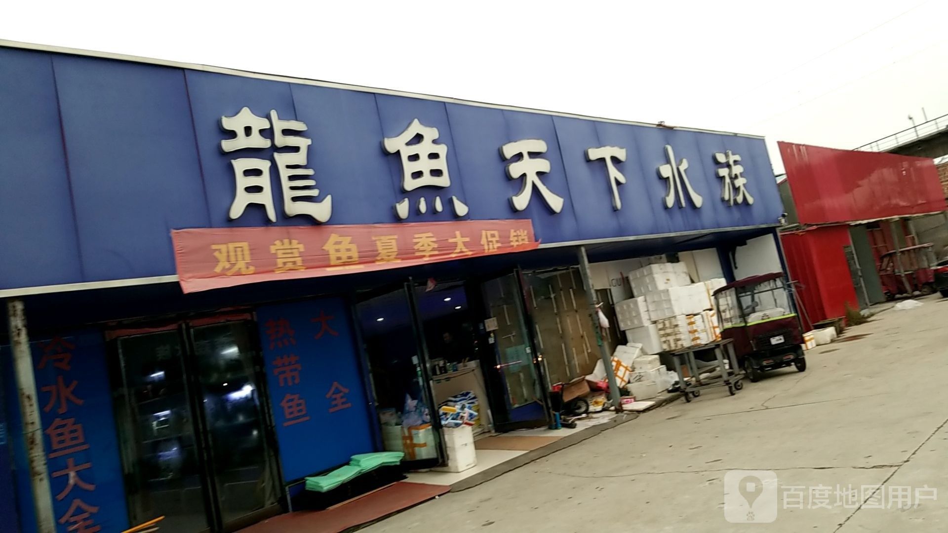 梁園哪個水族館龍魚好？祥龍魚場龍魚（商丘梁園哪個水族館龍魚好祥龍魚場龍魚相關服務獲取）