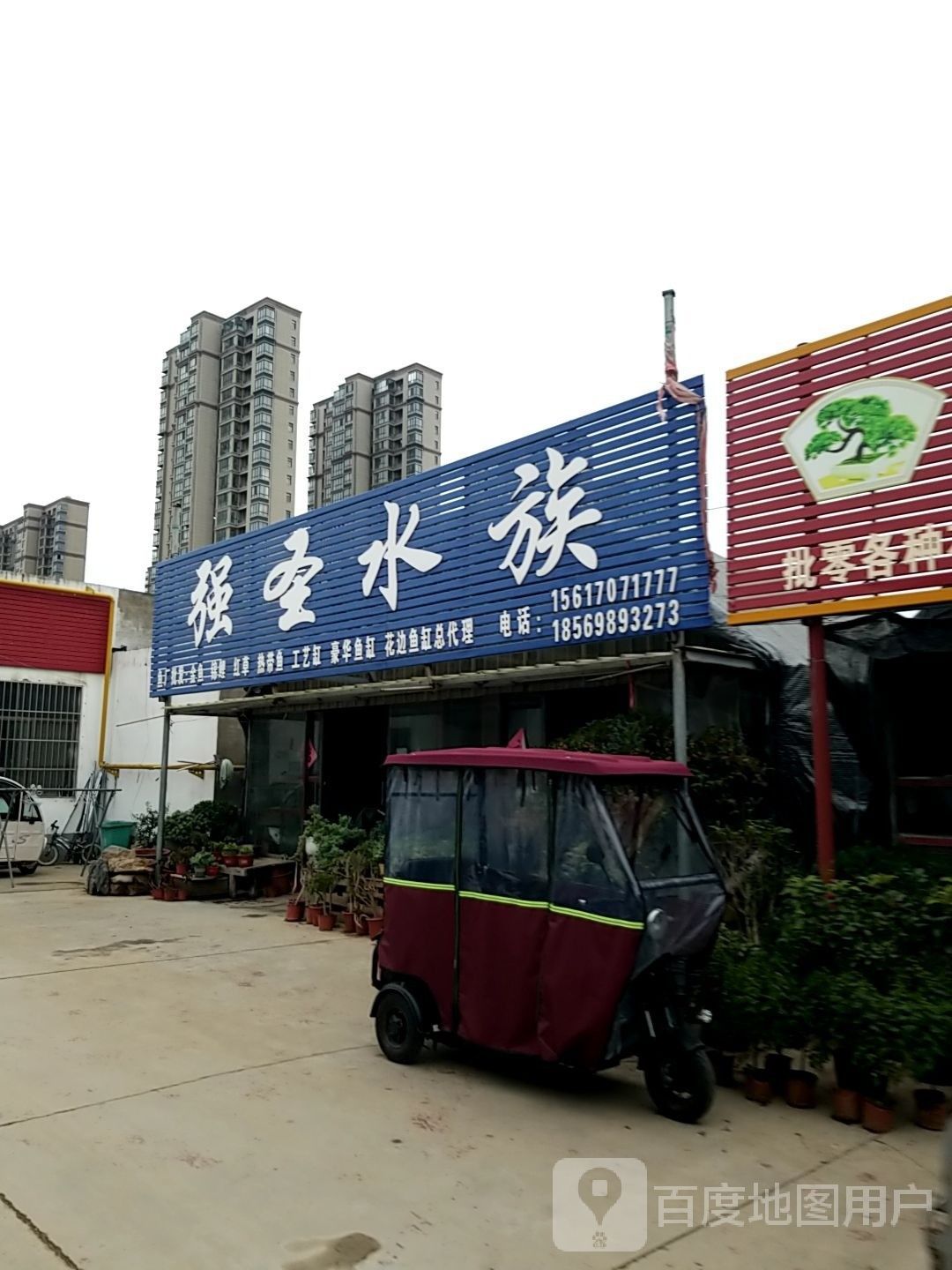 梁園哪個水族館龍魚好？祥龍魚場龍魚（商丘梁園哪個水族館龍魚好祥龍魚場龍魚相關服務獲取）