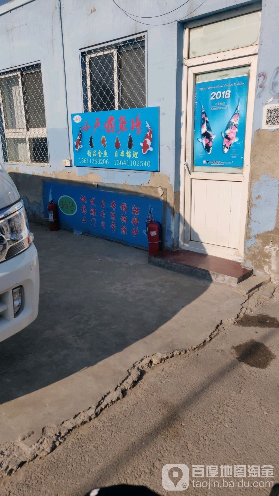 新左旗哪個水族館龍魚好？祥龍魚場龍魚