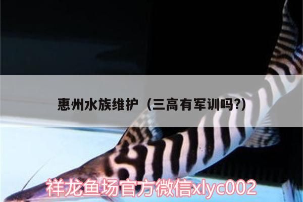 惠州水族維護（三高有軍訓嗎?）（惠州水族維護（三高軍訓））