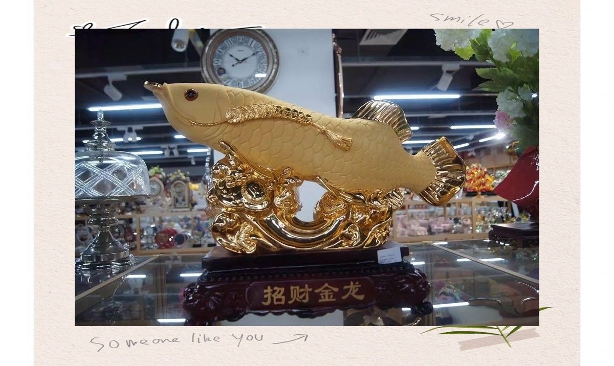 金龍魚擺件清潔后如何保養（金龍魚擺件清潔后保養的步驟如下：金龍魚擺件清潔后保養的步驟） 金龍魚擺件清潔后如何保養（金龍魚擺件清潔后保養的步驟如下：金龍魚擺件清潔后保養的步驟） 龍魚百科 第16張