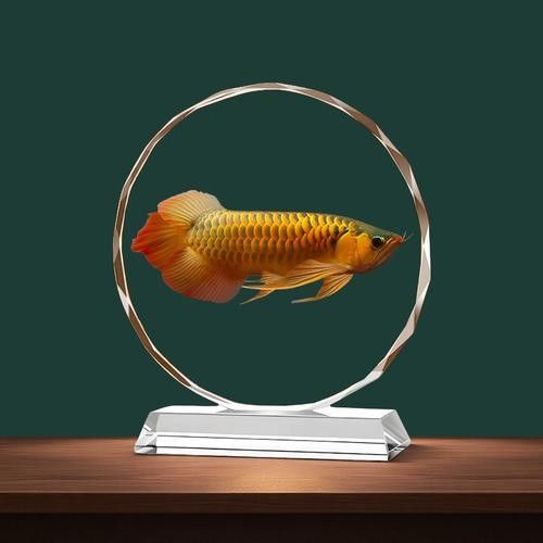 金龍魚擺件清潔后如何保養（金龍魚擺件清潔后保養的步驟如下：金龍魚擺件清潔后保養的步驟） 金龍魚擺件清潔后如何保養（金龍魚擺件清潔后保養的步驟如下：金龍魚擺件清潔后保養的步驟） 龍魚百科 第4張
