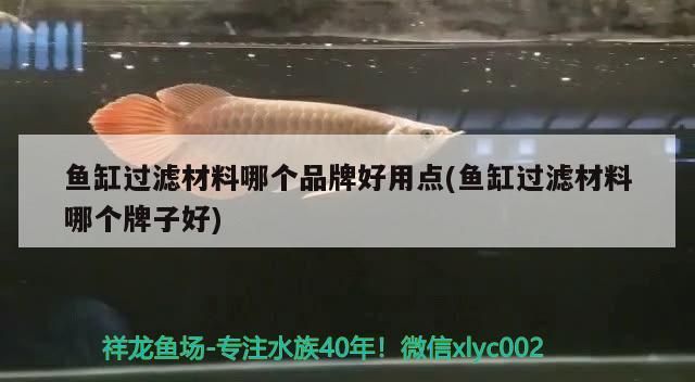 魚缸過(guò)濾材料哪個(gè)品牌好用點(diǎn)(魚缸過(guò)濾材料哪個(gè)牌子好)