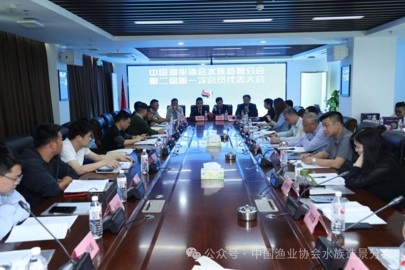 如何關(guān)注中國漁業(yè)協(xié)會龍魚分會的動態(tài)（中國漁業(yè)協(xié)會龍魚分會最新動態(tài)可通過以下幾種方式了解）