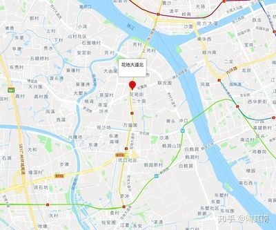 芳村花地大道的花鳥市場（廣州芳村花地大道的花卉博覽園探秘芳村花卉博覽園探秘） 芳村花地大道的花鳥市場（廣州芳村花地大道的花卉博覽園探秘芳村花卉博覽園探秘） 觀賞魚百科 第4張