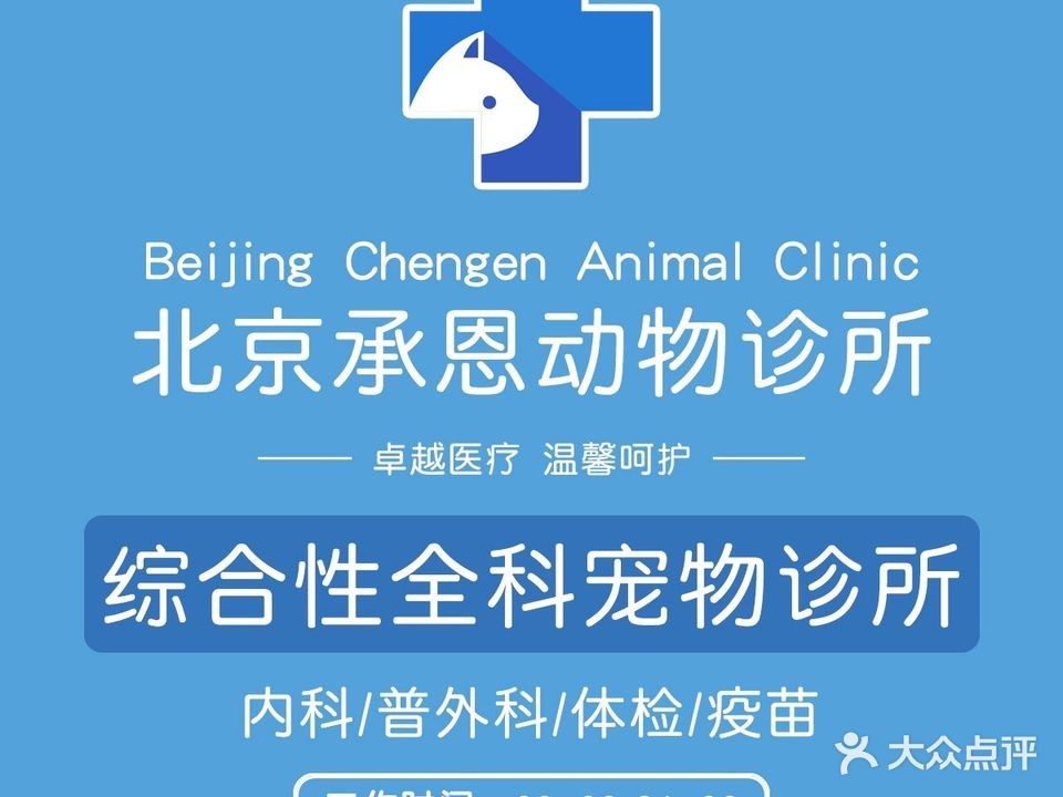 如何預約這兩家醫院的龍魚掉眼手術（如何預約兩家知名醫院——龍魚掉眼手術）