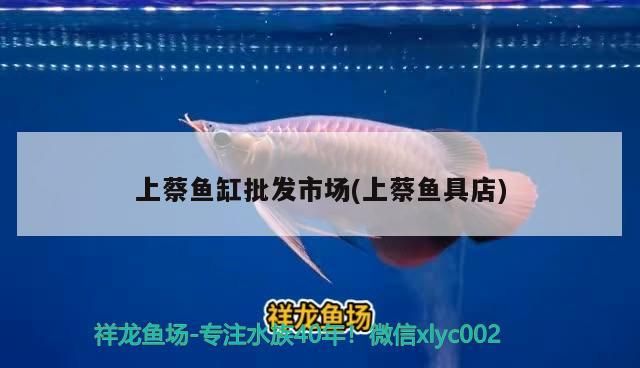 上蔡魚缸批發市場(上蔡魚具店)（上蔡魚缸批發市場） 上蔡魚缸批發市場(上蔡魚具店)（上蔡魚缸批發市場） 觀賞魚百科