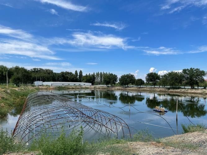 如何聯系到昌吉回族自治州的龍魚養殖場