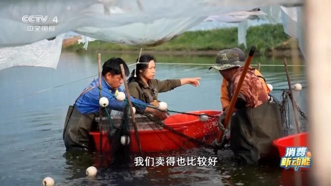如何聯系到昌吉回族自治州的龍魚養殖場