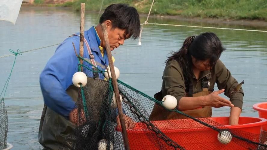 如何聯系到昌吉回族自治州的龍魚養殖場