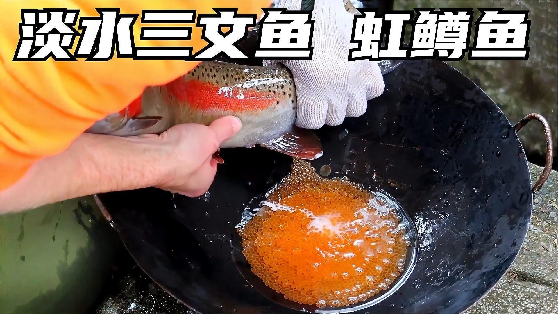 2025年龍魚市場(chǎng)有哪些新品種（025年龍魚市場(chǎng)預(yù)計(jì)將出現(xiàn)一系列新品種）