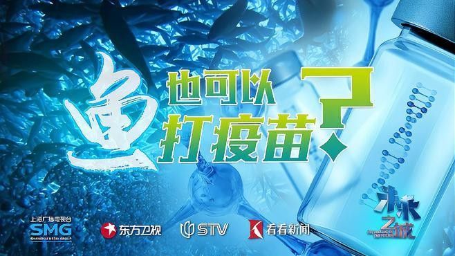 2025年龍魚市場(chǎng)有哪些新品種（025年龍魚市場(chǎng)預(yù)計(jì)將出現(xiàn)一系列新品種）