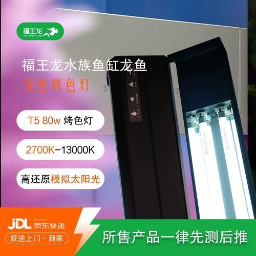 龍魚專用燈管的價格是多少（如何選擇適合龍魚的燈管？） 龍魚專用燈管的價格是多少（如何選擇適合龍魚的燈管？） 龍魚百科 第6張