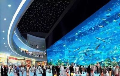 榆林水族館:榆林市榆林市榆林市榆林市榆陽區一泓水族館親子活動 觀賞魚百科 第1張 榆林水族館:榆林市榆林市榆林市榆林市榆陽區一泓水族館親子活動 榆林水族館:榆林市榆林市榆林市榆林市榆陽區一泓水族館親子活動 觀賞魚百科 第1張