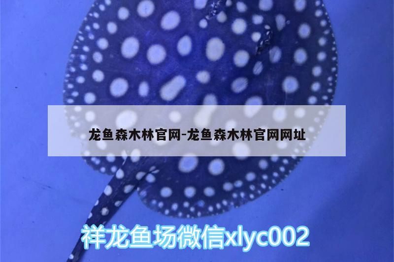 龍魚森木林官網:龍魚森木林官網網址