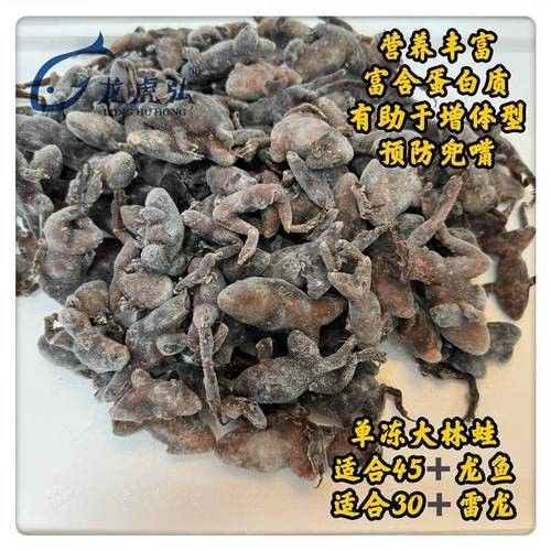 哪些品牌龍魚容易兜嘴？（哪些品牌的龍魚不容易兜嘴？） 哪些品牌龍魚容易兜嘴？（哪些品牌的龍魚不容易兜嘴？） 龍魚百科 第3張