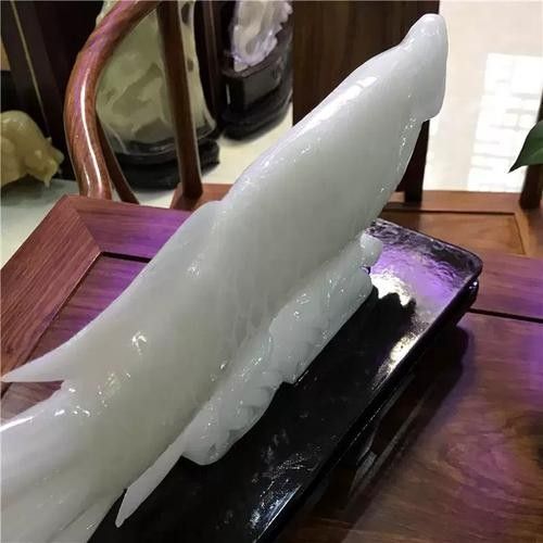 白玉龍魚的價(jià)格是多少（白玉龍魚價(jià)格是多少）