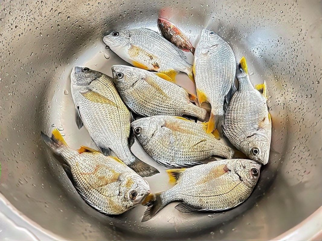 龍餌有沒有使用期限（徐大王愛釣魚釣魚用具不同釣魚用具的保養技巧）