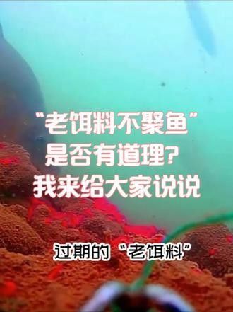 龍餌有沒有使用期限（徐大王愛釣魚釣魚用具不同釣魚用具的保養技巧）